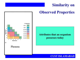 Attributes that an organism
possesses today
Similarity on
Observed Properties
CUST ISLAMABAD
 