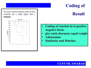 • Coding of reaction in to positive
negative form.
• give each character equal weight
• Adansonian
• Similarity and Matches
Coding of
Result
CUST ISLAMABAD
 
