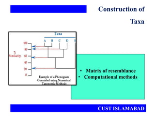 • Matrix of resemblance
• Computational methods
Construction of
Taxa
CUST ISLAMABAD
 