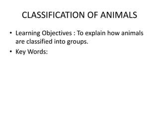 CLASSIFICATION OF ANIMALS
• Learning Objectives : To explain how animals
are classified into groups.
• Key Words:
 