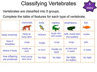 Classification.pdf