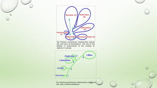 Fig: Putative evolutionary relationships among
the sub-class of dicotyledons. The size of the
balloon is proportional to the number of
species in a group.
Fig: Putative evolutionary relationships among the
sub-class of Monocotyledons.
 