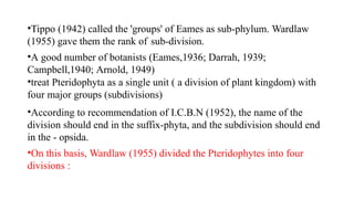 •Tippo (1942) called the 'groups' of Eames as sub-phylum. Wardlaw
(1955) gave them the rank of sub-division.
•A good number of botanists (Eames,1936; Darrah, 1939;
Campbell,1940; Arnold, 1949)
•treat Pteridophyta as a single unit ( a division of plant kingdom) with
four major groups (subdivisions)
•According to recommendation of I.C.B.N (1952), the name of the
division should end in the suffix-phyta, and the subdivision should end
in the - opsida.
•On this basis, Wardlaw (1955) divided the Pteridophytes into four
divisions :
 
