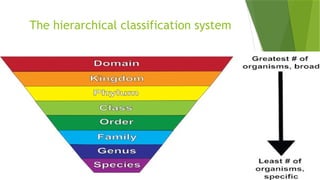 System Of Classification Biology Classification of Living Organisms.pptx