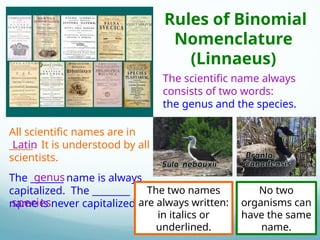 Classification of organisms and evolution.pptx