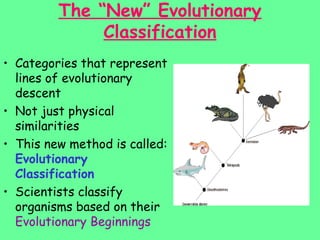 classification PPT Special Education Etc | PPT