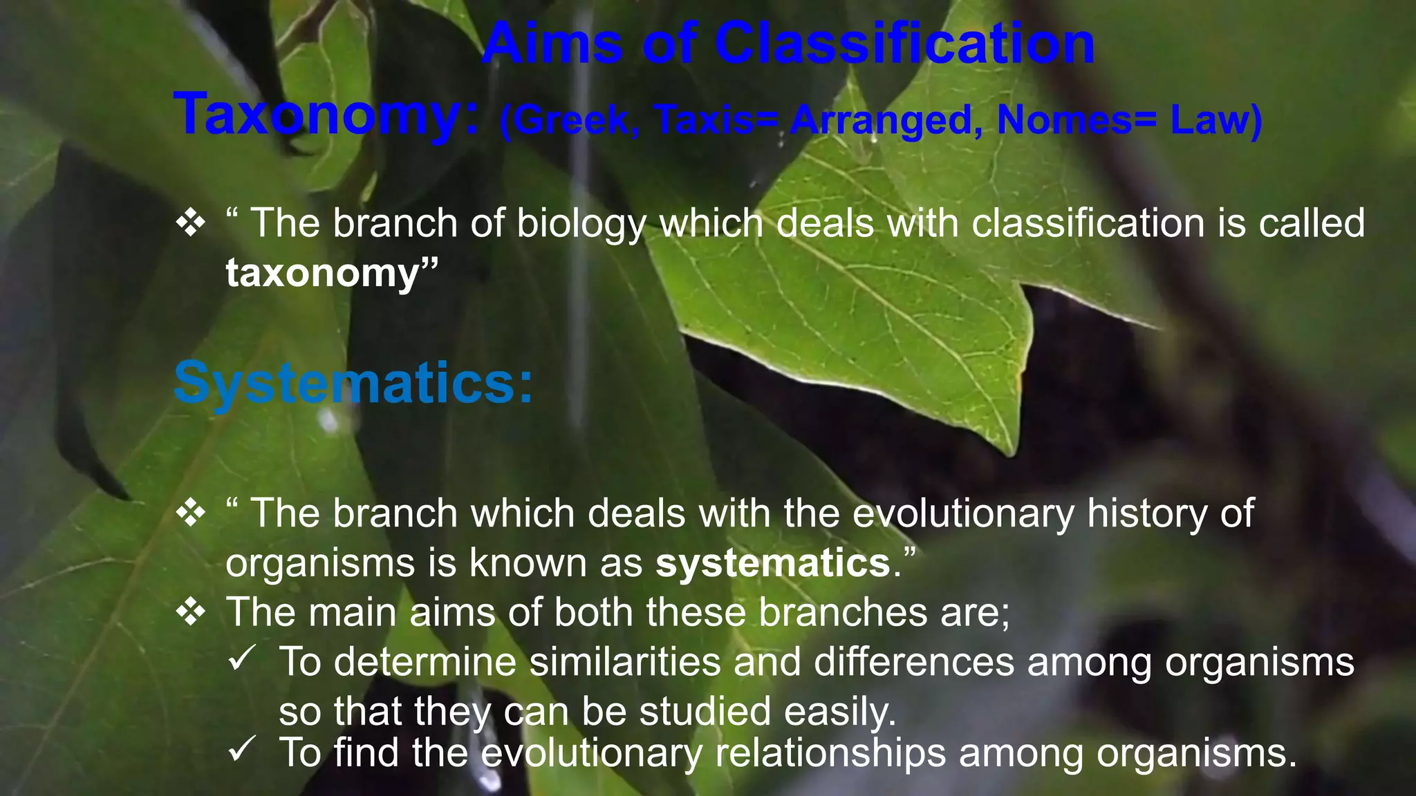 Classification Aims And Principles Pptx Classification Aims And Principles Pptx