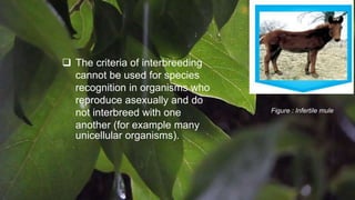 Figure : Infertile mule
 The criteria of interbreeding
cannot be used for species
recognition in organisms who
reproduce asexually and do
not interbreed with one
another (for example many
unicellular organisms).
 