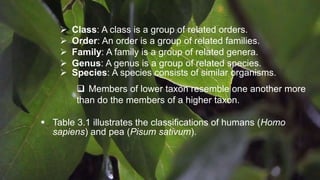  Class: A class is a group of related orders.
 Order: An order is a group of related families.
 Family: A family is a group of related genera.
 Genus: A genus is a group of related species.
 Species: A species consists of similar organisms.
 Members of lower taxon resemble one another more
than do the members of a higher taxon.
 Table 3.1 illustrates the classifications of humans (Homo
sapiens) and pea (Pisum sativum).
 