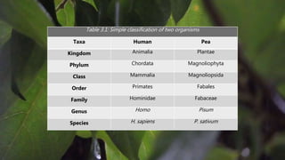 Table 3.1: Simple classification of two organisms
Taxa Human Pea
Kingdom Animalia Plantae
Phylum Chordata Magnoliophyta
Class Mammalia Magnoliopsida
Order Primates Fabales
Family Hominidae Fabaceae
Genus Homo Pisum
Species H. sapiens P. sativum
 