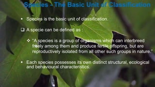 Classification Aims And Principles Pptx Classification Aims And Principles Pptx