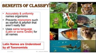 • Accurately & uniformly
names organisms
• Prevents misnomers such
as starfish & jellyfish that
aren't really fish
• Uses same language
(Latin or some Greek) for
all names
Latin Names are Understood
by all Taxonomists
Benefits of Classifying
15-11-2021 DR. C. BEULAH JAYARANI 15
 