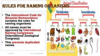 • The International Code for
Binomial Nomenclature
contains the rules for
naming organisms
• All names must be
approved by International
Naming Congresses
(International Zoological
Congress)
• This prevents duplicated
names
Rules for Naming Organisms
15-11-2021 DR. C. BEULAH JAYARANI 17
 