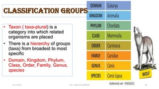 • Taxon ( taxa-plural) is a
category into which related
organisms are placed
• There is a hierarchy of groups
(taxa) from broadest to most
specific
• Domain, Kingdom, Phylum,
Class, Order, Family, Genus,
species
Classification Groups
15-11-2021 DR. C. BEULAH JAYARANI 18
 