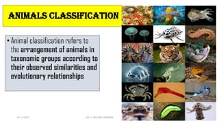 ANIMALS Classification
•Animal classification refers to
the arrangement of animals in
taxonomic groups according to
their observed similarities and
evolutionary relationships
15-11-2021 DR. C. BEULAH JAYARANI 2
 
