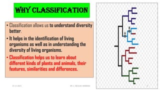 WHY classification
• Classification allows us to understand diversity
better.
• It helps in the identification of living
organisms as well as in understanding the
diversity of living organisms.
• Classification helps us to learn about
different kinds of plants and animals, their
features, similarities and differences.
15-11-2021 DR. C. BEULAH JAYARANI 3
 