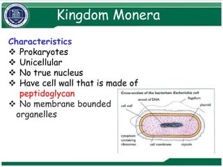 Monera Definition Biology Classification-Chapter-1(1.1-1.7).pptx