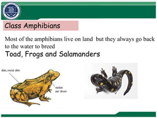 Biology Classification-Chapter-1(1.1-1.7).pptx