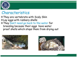 Rubbery Shell Biology Classification-Chapter-1(1.1-1.7).pptx