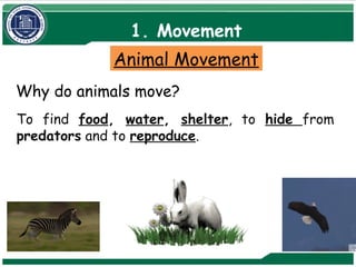 Classification---Chapter-1(1.1-1.7).pptx