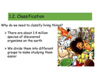 Classification-Chapter-1 2 [Auto-saved].pptx