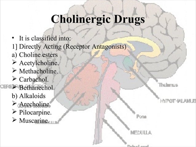 Does Nervive Interact With Any Medications Classification drug act on nervous system
