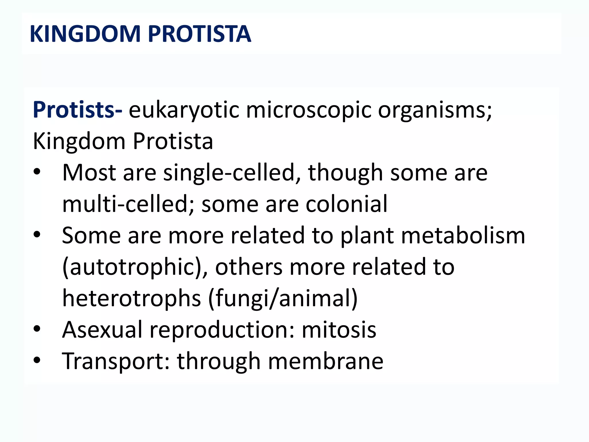 Classification Eukaryotes | PPTX