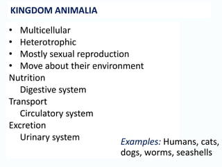 • Multicellular
• Heterotrophic
• Mostly sexual reproduction
• Move about their environment
Nutrition
Digestive system
Transport
Circulatory system
Excretion
Urinary system
KINGDOM ANIMALIA
Examples: Humans, cats,
dogs, worms, seashells
 