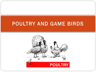 Purchasing Poultr y and Game 
Birds 
Processed Poultry 
 Processed chicken and turkey are commonly 
used in: 
 Canned or...