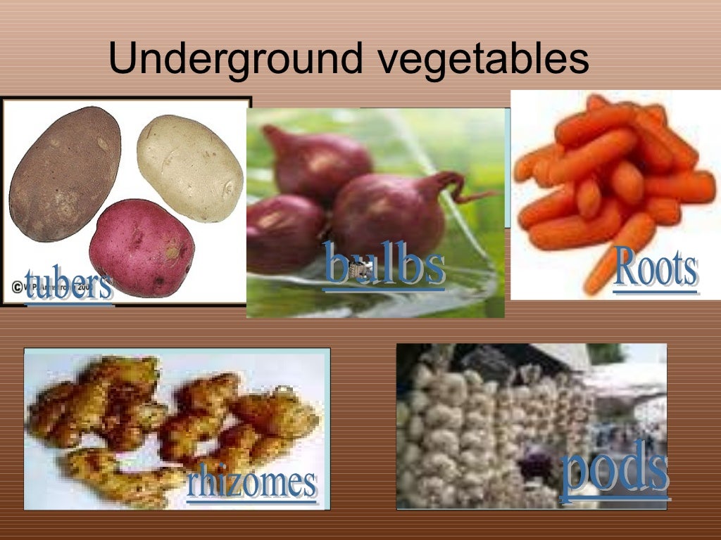 classification of commodities