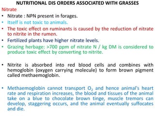 Nitrate Rumen Classification-of-feedstuffs.pdf