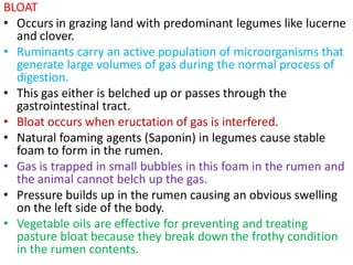 BLOAT
• Occurs in grazing land with predominant legumes like lucerne
and clover.
• Ruminants carry an active population of microorganisms that
generate large volumes of gas during the normal process of
digestion.
• This gas either is belched up or passes through the
gastrointestinal tract.
• Bloat occurs when eructation of gas is interfered.
• Natural foaming agents (Saponin) in legumes cause stable
foam to form in the rumen.
• Gas is trapped in small bubbles in this foam in the rumen and
the animal cannot belch up the gas.
• Pressure builds up in the rumen causing an obvious swelling
on the left side of the body.
• Vegetable oils are effective for preventing and treating
pasture bloat because they break down the frothy condition
in the rumen contents.
 