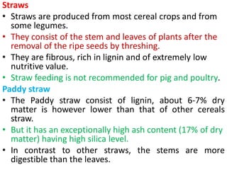 Straws
• Straws are produced from most cereal crops and from
some legumes.
• They consist of the stem and leaves of plants after the
removal of the ripe seeds by threshing.
• They are fibrous, rich in lignin and of extremely low
nutritive value.
• Straw feeding is not recommended for pig and poultry.
Paddy straw
• The Paddy straw consist of lignin, about 6-7% dry
matter is however lower than that of other cereals
straw.
• But it has an exceptionally high ash content (17% of dry
matter) having high silica level.
• In contrast to other straws, the stems are more
digestible than the leaves.
 