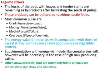 Legume straws
• The husks of the pods with leaves and tender stems are
remaining as byproducts after harvesting the seeds of pulses.
• These products can be utilised as nutritious cattle feeds.
• Most common pulse are
– Urad (Phaseolusmungo),
– Moong (Phaseolusradiatus),
– Moth (P.aconitifolius),
– Cow peas (Vignacatiang ) etc.
• The energy value of these straws is comparable with those of
cereal straws but they are a fairly good source of digestible
protein.
• Supplementation with energy-rich feeds like cereal grains will,
however will be necessary in the case of high milk producing
cattle.
• Other straws (Cereals) that are commonly fed to animals are
Wheat straw, Rye straw and Oat straw.
 