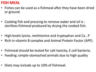 FISH MEAL
• Fishes can be used as a fishmeal after they have been dried
or ground.
• Cooking fish and pressing to remove water and oil is :
sterilizes fishmeal produced by drying the cooked fish.
• High levels lysine, methionine and tryptophan and Ca , P
• Rich in vitamin B complex and Animal Protein Factor (APF).
• Fishmeal should be tested for salt toxicity, E.coli bacteria.
• Feeding: simple-stomached animals due to high quality
• Diets may include up to 10% of fishmeal.
 