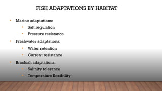 Classification-of-Fish--Understanding-Aquatic-Habitats.pptx
