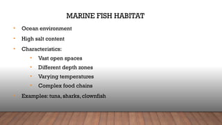 Classification-of-Fish--Understanding-Aquatic-Habitats.pptx
