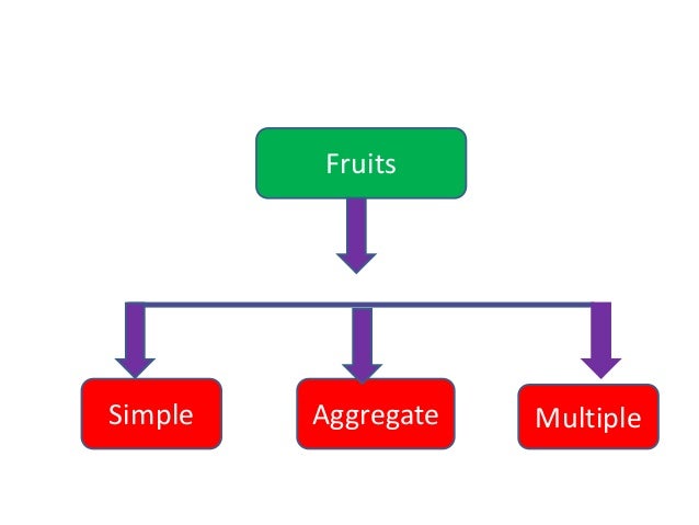 Classification of fruits