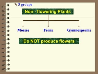   3 groups Ferns Mosses Gymnosperms Non - flowering Plants Do NOT produce flowers 
