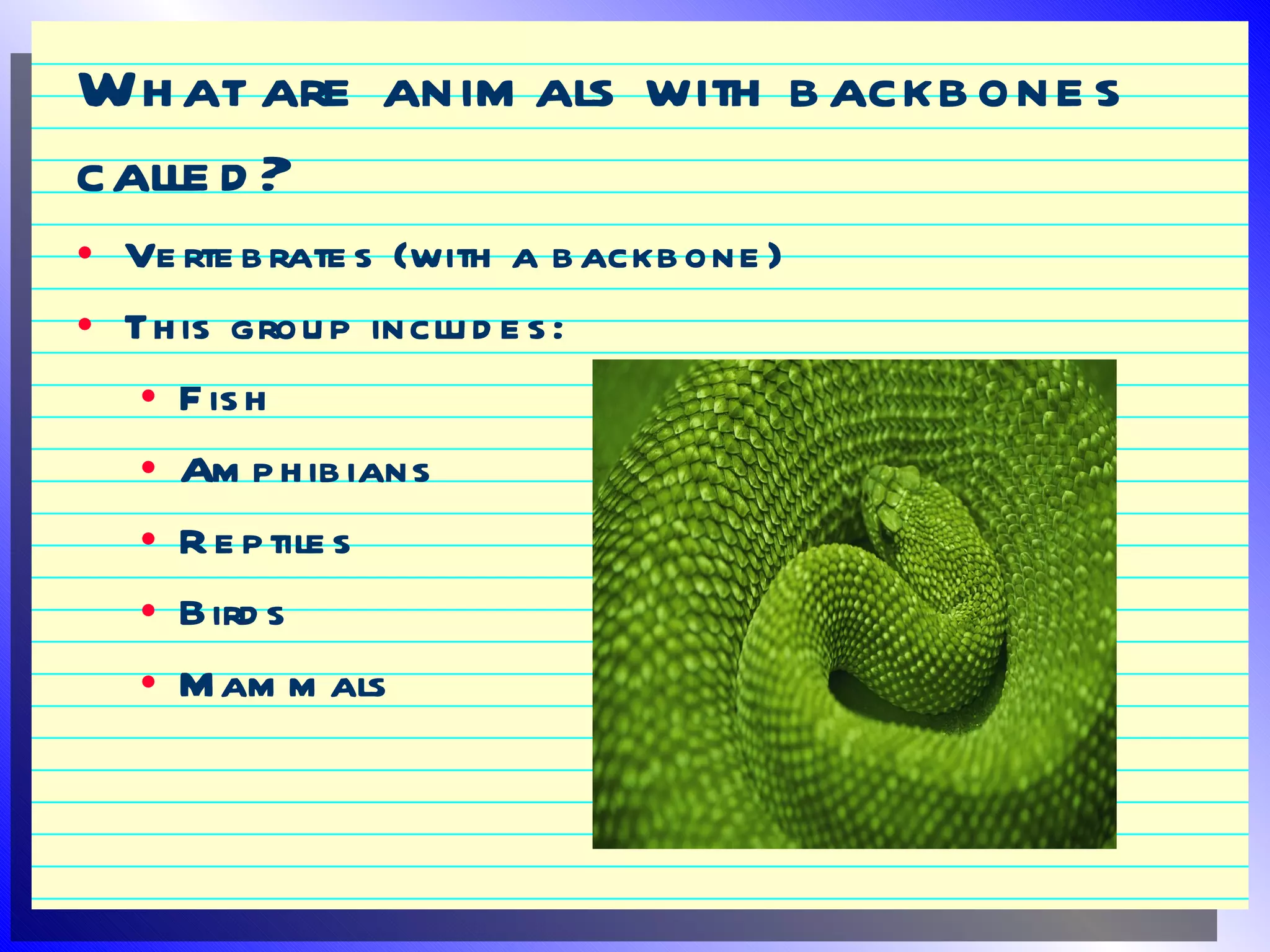Classification of-plants-and-animals | PPT