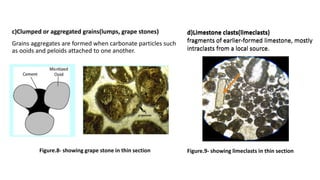 Classification-of-sedimentary-rocks-Autochthonous-sediments.pptx