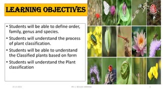 Classification plant-converted | PDF