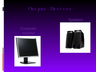 Output Devices Computer monitor Speakers 