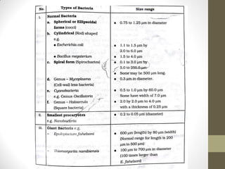 Bacterial taxonomy & classification | PDF