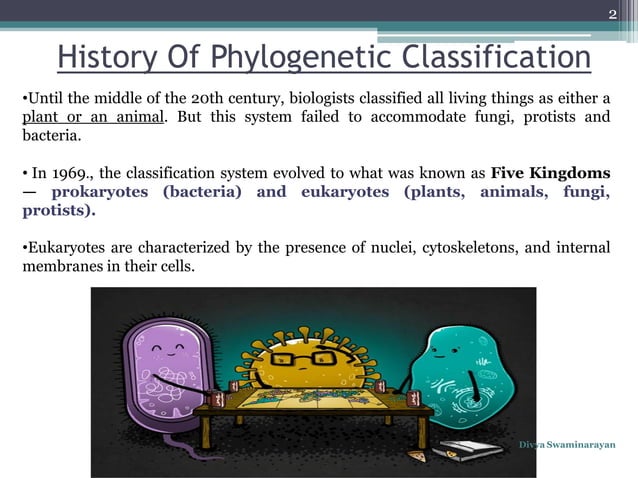 Classification three domain system | PDF