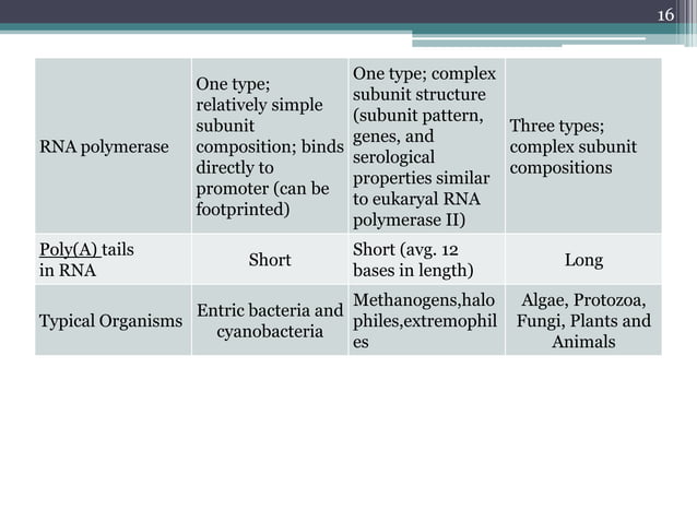Classification three domain system | PPT