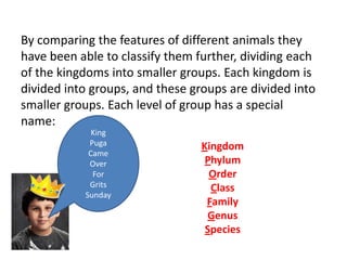 By comparing the features of different animals they
have been able to classify them further, dividing each
of the kingdoms into smaller groups. Each kingdom is
divided into groups, and these groups are divided into
smaller groups. Each level of group has a special
name:
King
Puga
Came
Over
For
Grits
Sunday
Kingdom
Phylum
Order
Class
Family
Genus
Species
 