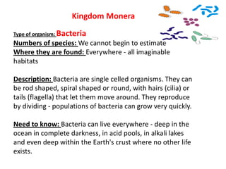 Kingdom Monera
Type of organism: Bacteria
Numbers of species: We cannot begin to estimate
Where they are found: Everywhere - all imaginable
habitats
Description: Bacteria are single celled organisms. They can
be rod shaped, spiral shaped or round, with hairs (cilia) or
tails (flagella) that let them move around. They reproduce
by dividing - populations of bacteria can grow very quickly.
Need to know: Bacteria can live everywhere - deep in the
ocean in complete darkness, in acid pools, in alkali lakes
and even deep within the Earth's crust where no other life
exists.
 