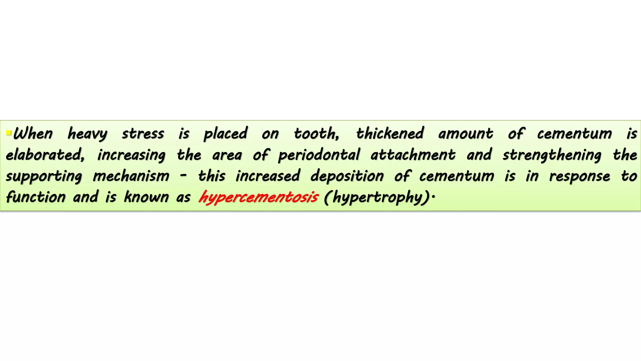 ▪When heavy stress is placed on tooth, thickened amount of cementum is
elaborated, increasing the area of periodontal attachment and strengthening the
supporting mechanism - this increased deposition of cementum is in response to
function and is known as hypercementosis (hypertrophy).
 