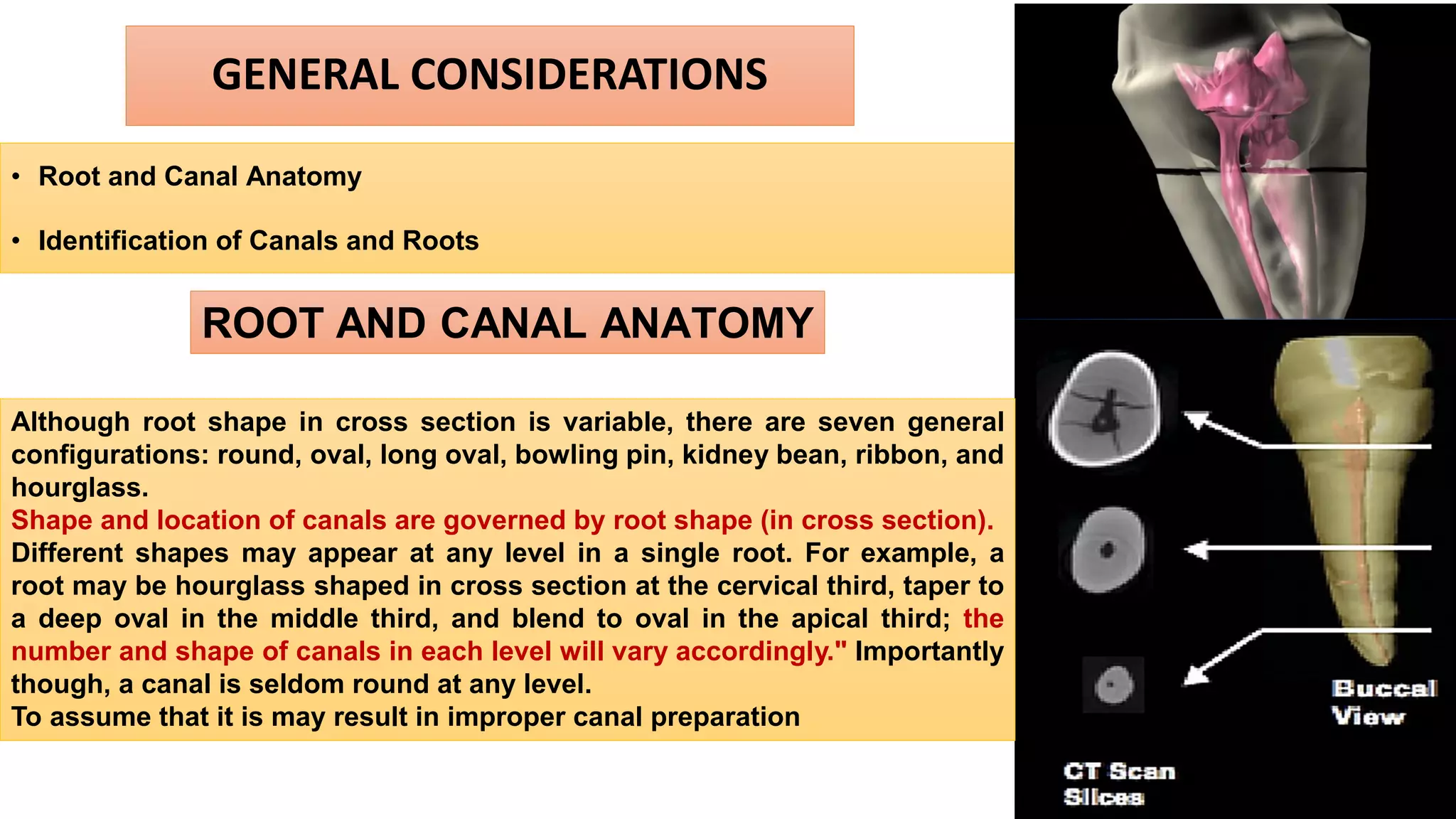 GENERAL CONSIDERATIONS
• Root and Canal Anatomy
• Identification of Canals and Roots
ROOT AND CANAL ANATOMY
Although root shape in cross section is variable, there are seven general
configurations: round, oval, long oval, bowling pin, kidney bean, ribbon, and
hourglass.
Shape and location of canals are governed by root shape (in cross section).
Different shapes may appear at any level in a single root. For example, a
root may be hourglass shaped in cross section at the cervical third, taper to
a deep oval in the middle third, and blend to oval in the apical third; the
number and shape of canals in each level will vary accordingly." Importantly
though, a canal is seldom round at any level.
To assume that it is may result in improper canal preparation
 